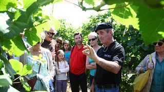 Domaine Plaimont: A Gem in Southwest France