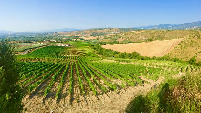 Calabria Wine & Adventure at Tenuta Celimarro