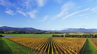 Domaine Chandon