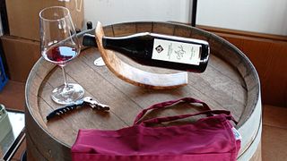 Dégustation de vins et visite à Cascina Sarìa