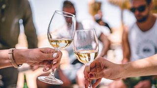 Vinprovning och rundtur på Via Vinera