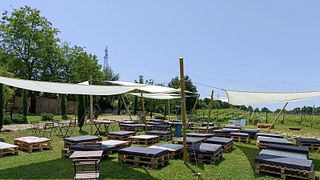 Degustazione di vini e cena presso l'azienda vinicola Shine Grape