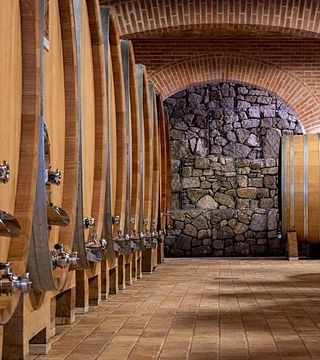 Cata de vinos y visita guiada en Mastrojanni