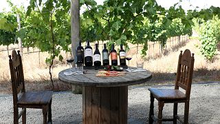 Quinta Do Cume Winery