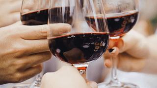 Wine Tasting and Tour at Pier Paolo Grasso Winery