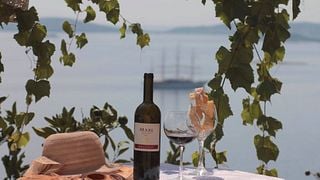 Dégustation de vins et visite de la cave Bura Mrgudic