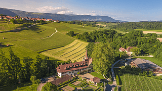 Cata de vinos y degustación de quesos de cabra en Domaine du Manoir