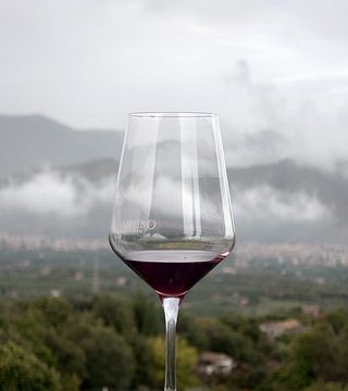 Entdeckung des Etna-Weins 