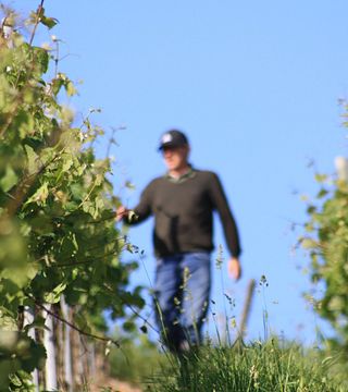 Dégustation de vins au Weingut Nikolaus Köwerich