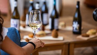 Taste Sicily’s Wines & Vegetarian Delights