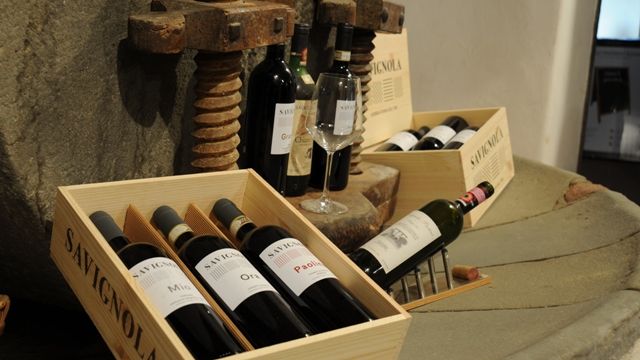 Degustação de vinhos e tour em Savignola