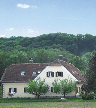 Degustazione di vini presso Weingut Pock