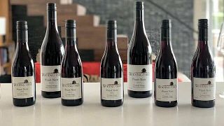 Wine Tasting and Tour at Wooing Tree Vineyard