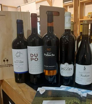 Prova de Vinhos Icónica na Casa Mãe Da Rota De Vinhos