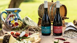 Picknick auf dem Rasen | Weintour und Weinprobe bei Augustali
