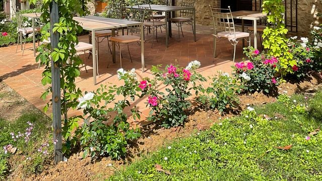 Weinprobe und Besichtigung in der Fattoria Il Colombaio