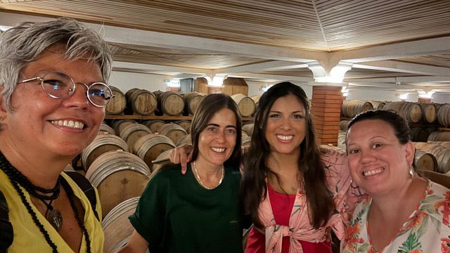 Prova de Vinhos Premium na Quinta do Sampayo