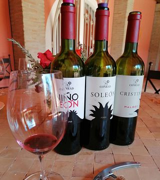 Conrad Winery