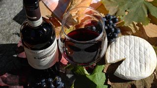Piedmont Wine & Castle Tour at Il Girapoggio