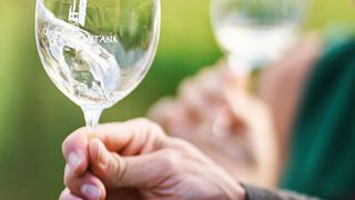 Lisbon Vineyard Reserve Tasting & Tour