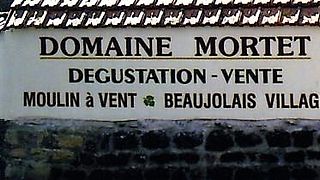 Wine Tasting Experience at Domaine Mortet