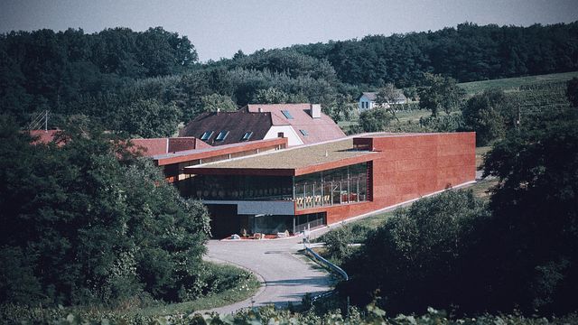 Weingut Schützenhof - Markus Faulhammer