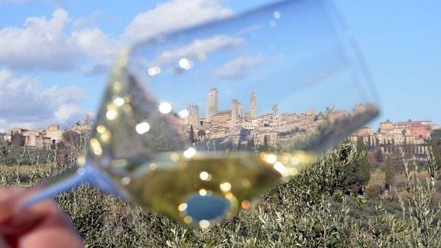 Taste 6 Award-Winning Organic Wines in San Gimignano