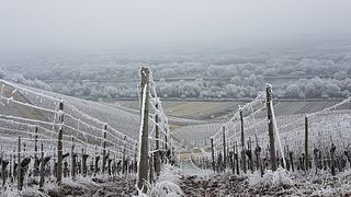 Domaine L&R Kox