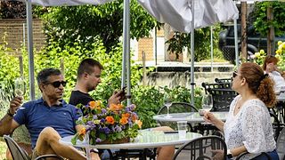 Dégustation de vins de prestige au domaine Avantis