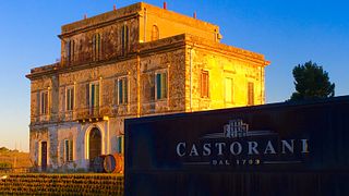 Experiencia de cata de vinos y almuerzo premium en Castorani