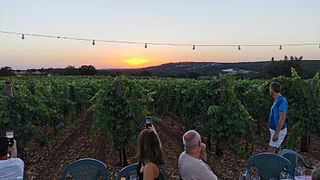 Vin- och matupplevelse i hjärtat av Trulli