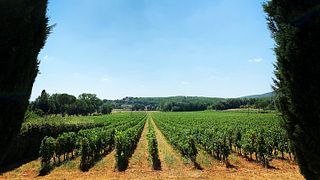 Degustazione di vini e visita al Castello Poggiarello