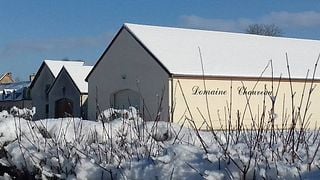 Cata de vinos en Domaine Chauveau