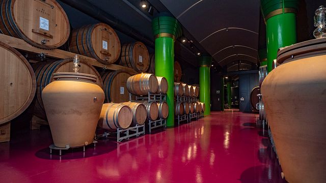 Weinprobe und Tour bei Garesio