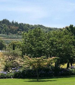 Tironui Estate