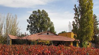 Viña El Cerno: Organic Wines from Mendoza