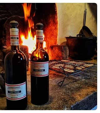 Tuscan Organic Wine Tasting & Vineyard Tour
