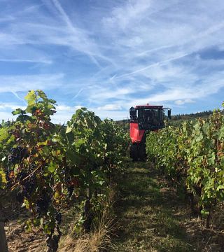 Vinprovning och rundtur på Weingut Hof Breitenstein