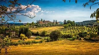 Excursão privada de meio dia a Carmignano saindo de Florença: O primeiro Cabernet Sauvignon da Toscana
