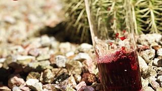 Bronco Wine Company