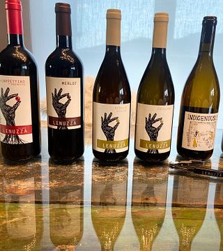 Weinprobe im Vigna Lenuzza