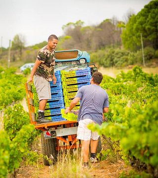 Organisez votre événement d'entreprise avec modernité au Domaine de la Dourbie