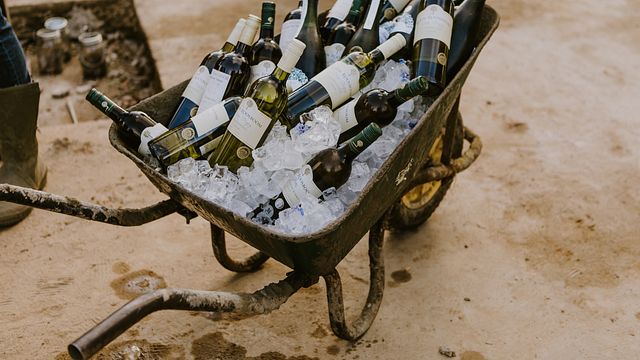 Experiencia vinícola en la bodega boutique Klein Roosboom