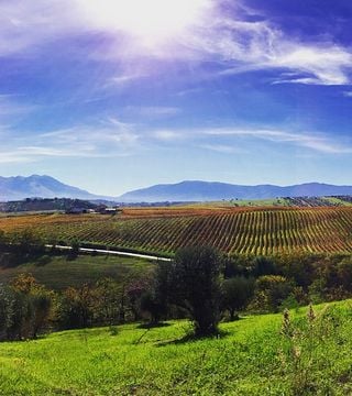 Degustazione e tour di vini a Tiberio