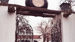 Viña Undurraga: A Historic Chilean Winery