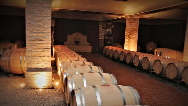 Cata de vinos y visita guiada a Tenuta L'Impostino