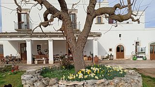 Weinprobe und Führung im Tenuta Patruno Perniola