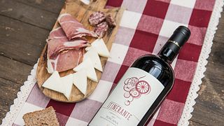 Walk a Tuscan Vineyard & Taste Bolgheri Wines