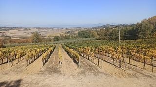 Savor Exquisite Wines: Brunello of Montalcino & Nobile di Montepulciano Wine Tour