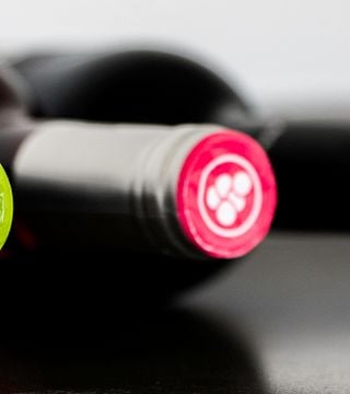 Standard vinprovning på Quinta Vale d'Aldeia